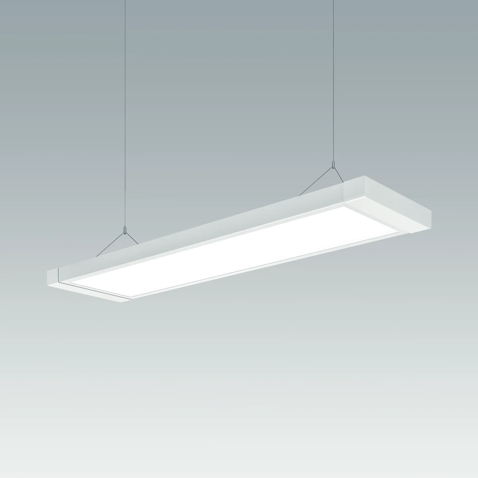 Roxy hangende versie