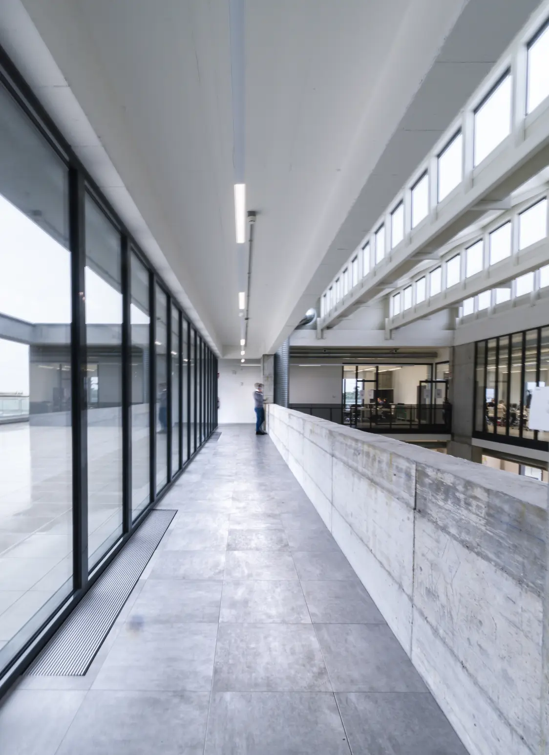 A bright office corridor with large window fronts on one side and a concrete parapet on the other. The ceiling is equipped with linear LED lights, and daylight streams through the windows into the long corridor.