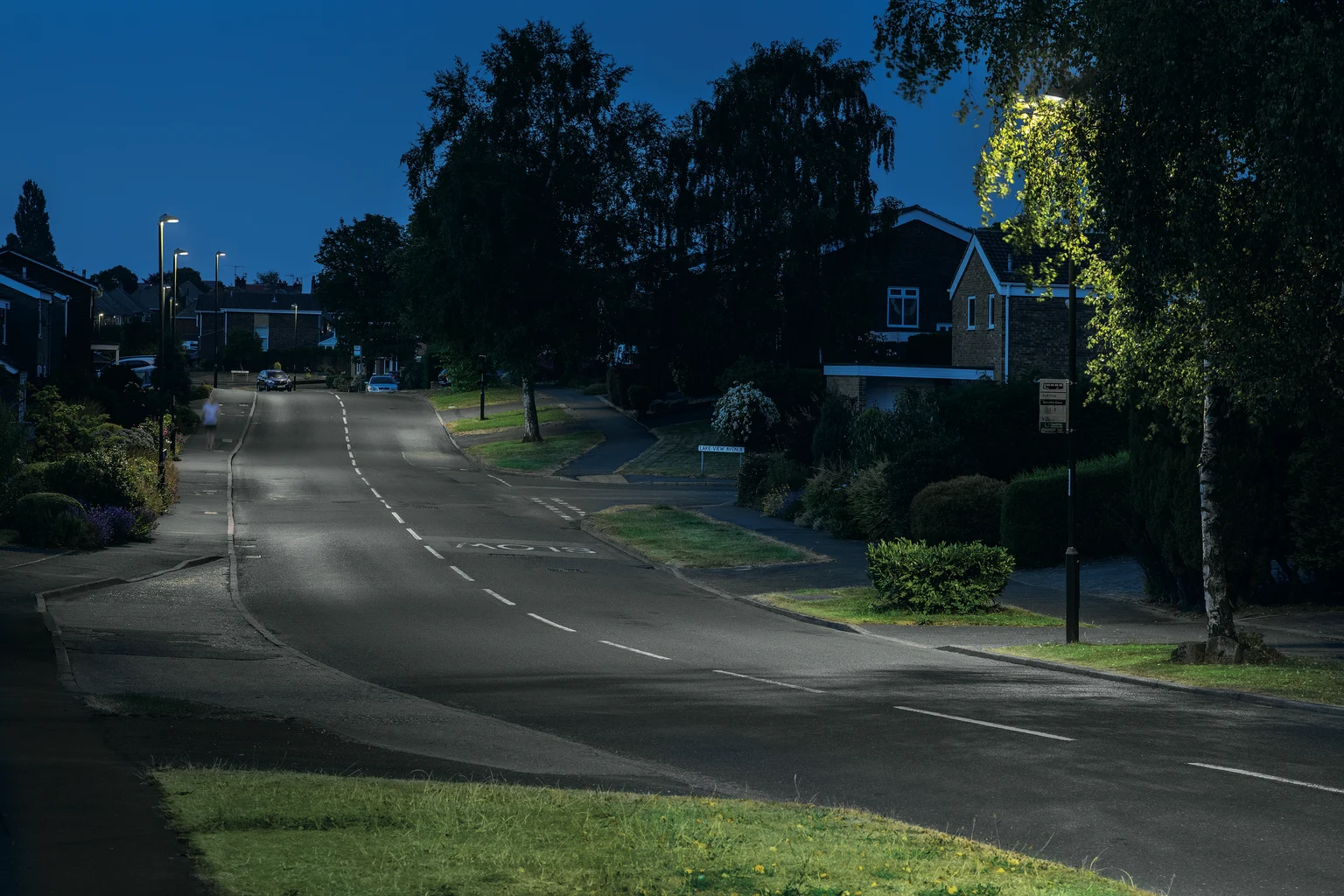 Una tranquilla strada di periferia di notte è illuminata da lampioni, con case e alberi che fiancheggiano entrambi i lati. La strada è vuota e la scena trasmette una sensazione di calma e tranquillità.