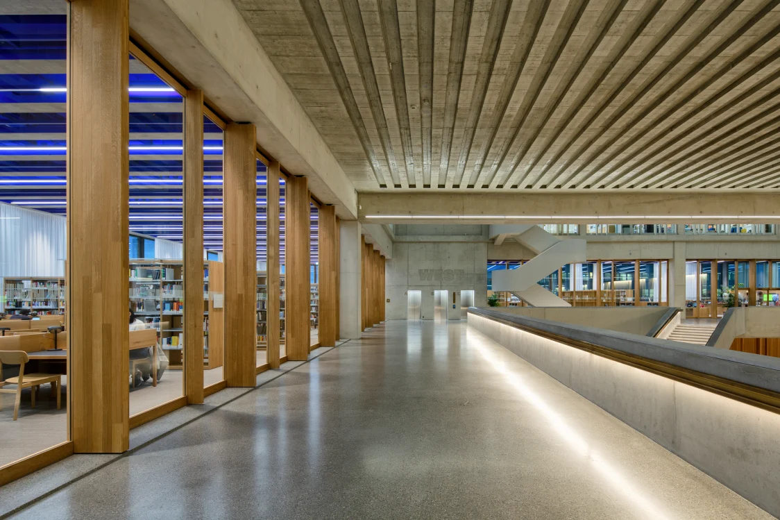 Offener Lernbereich am FHNW Campus mit Sichtbeton, Holzakzenten und seitlich integrierter LED-Beleuchtung. Die FREELINE-Leuchte sorgt für blendfreies Licht und unterstreicht die rhythmische Deckengeometrie.