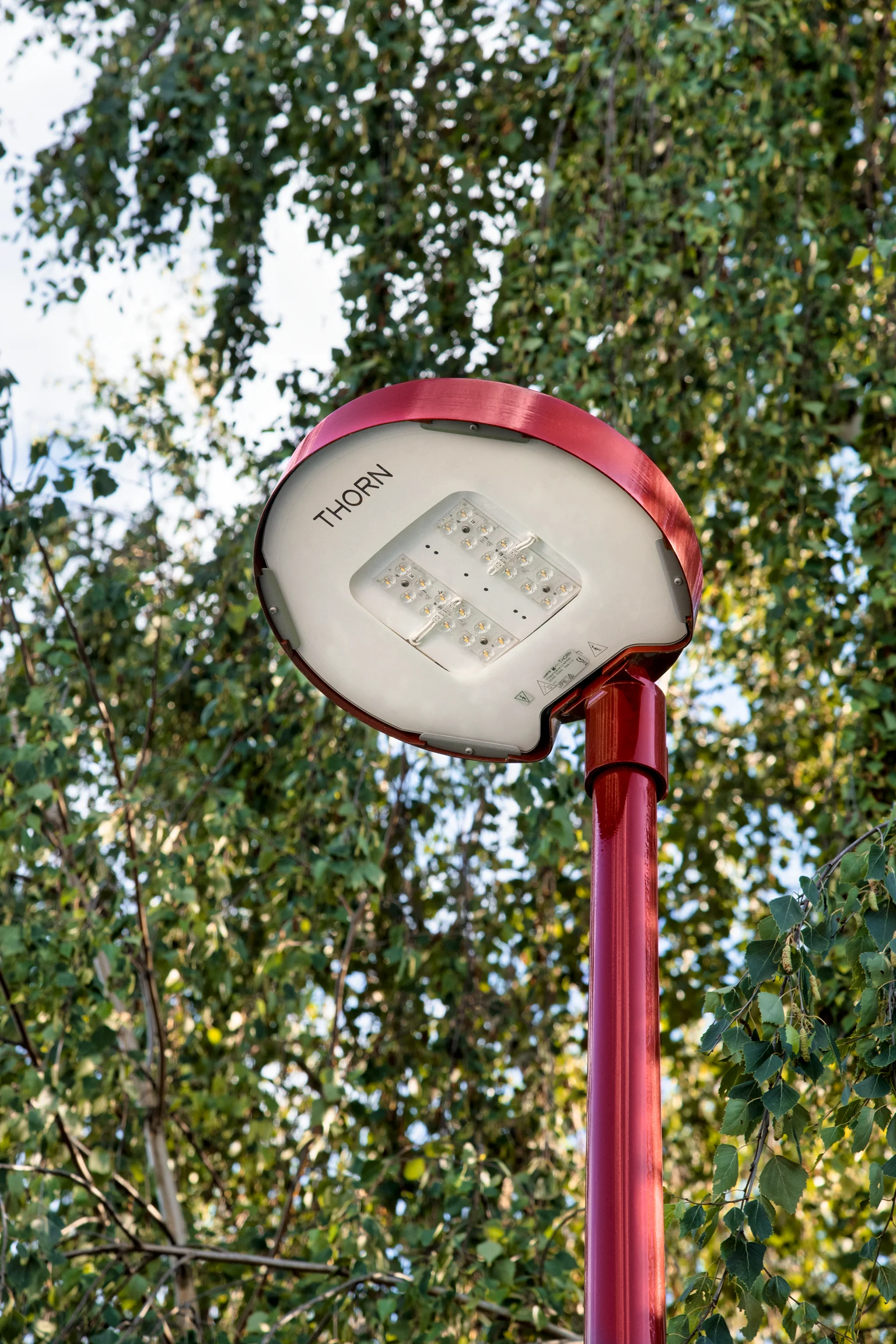 Carat ästhetische Straßenleuchte von Thorn Lighting