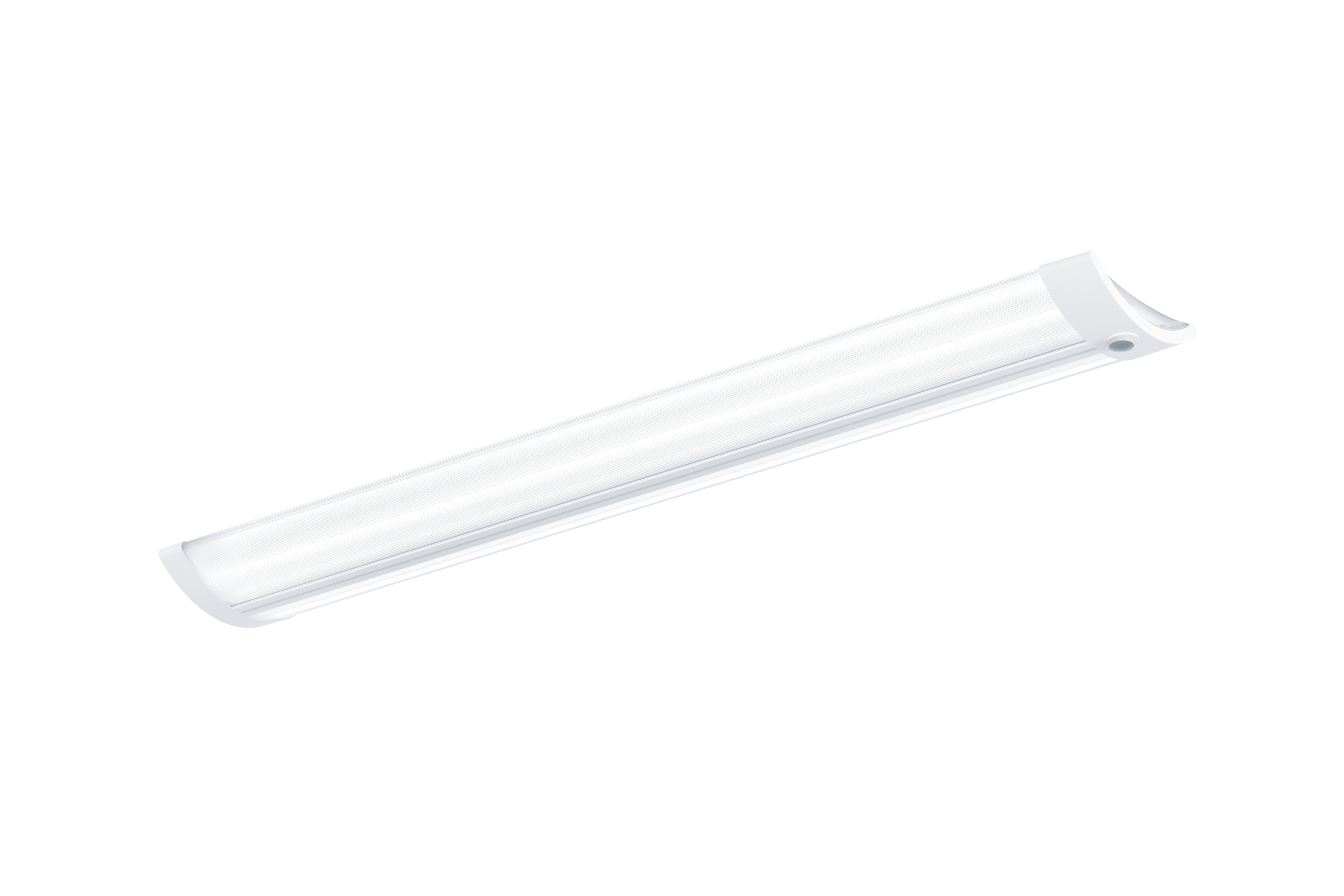 IQ Wave SP bij Gibside School