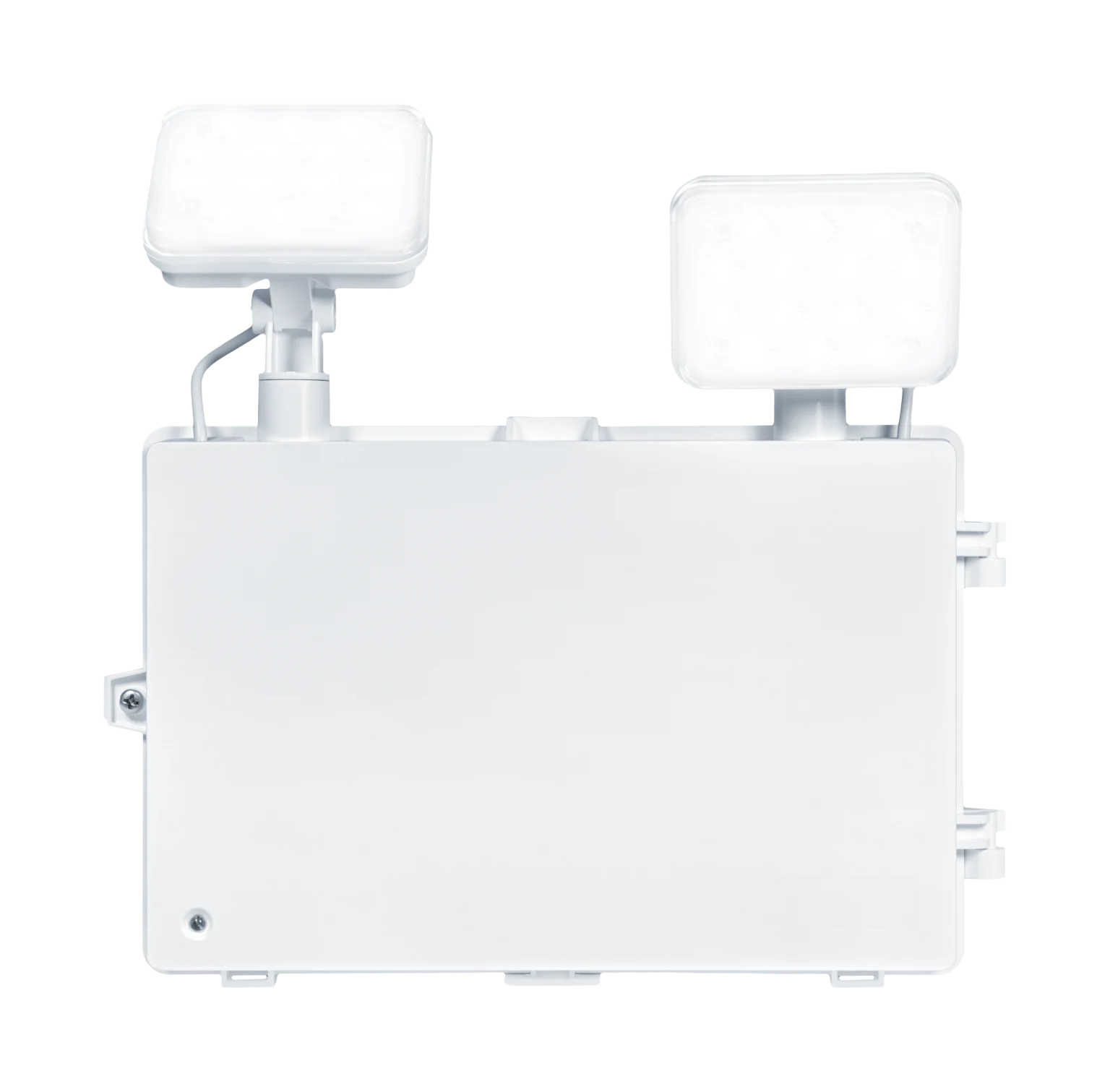 Front view of Nora twinspot
