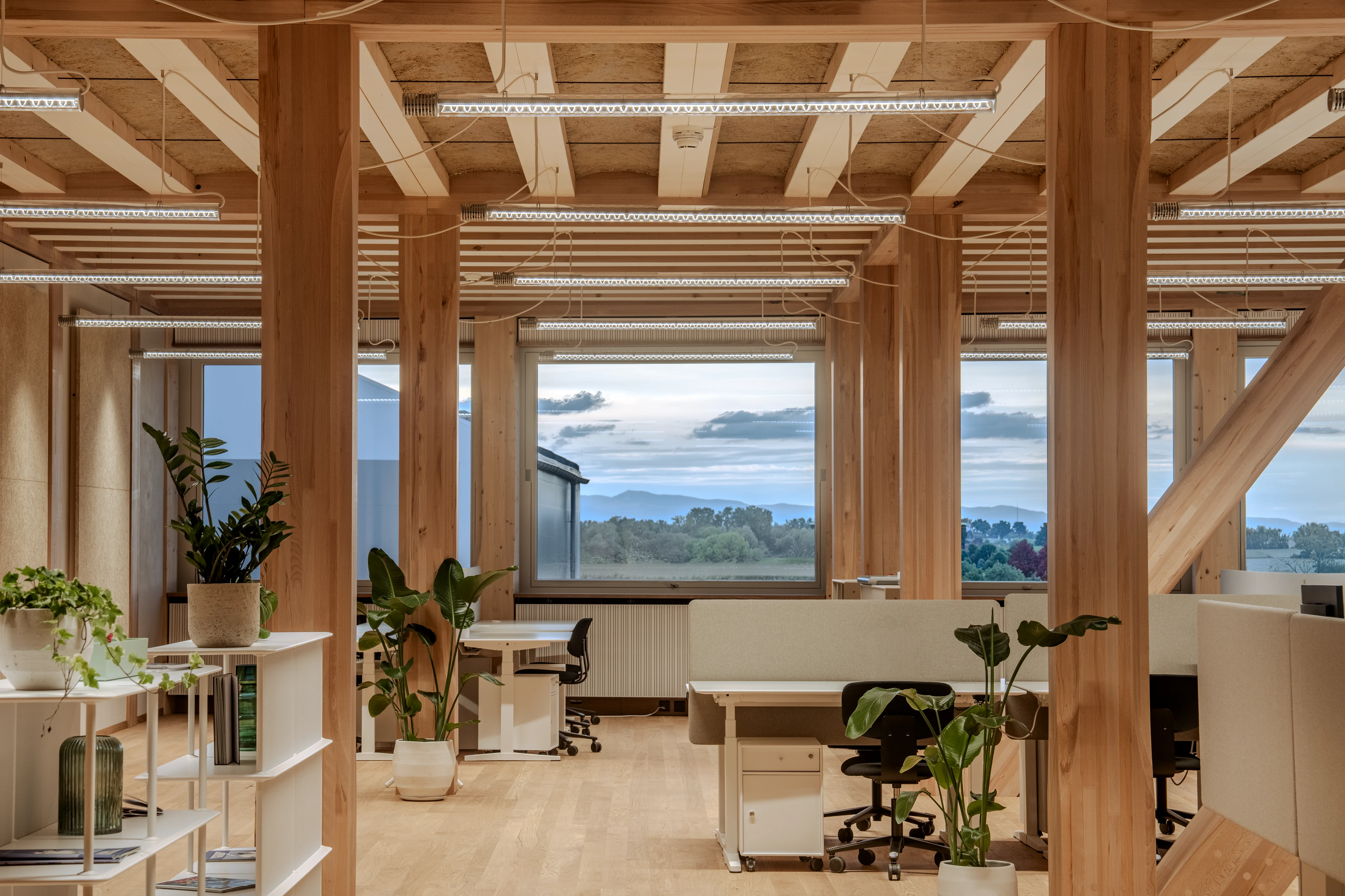 With “THE EDITIONS” Zumtobel celebrates lighting solutions for visionary architecture