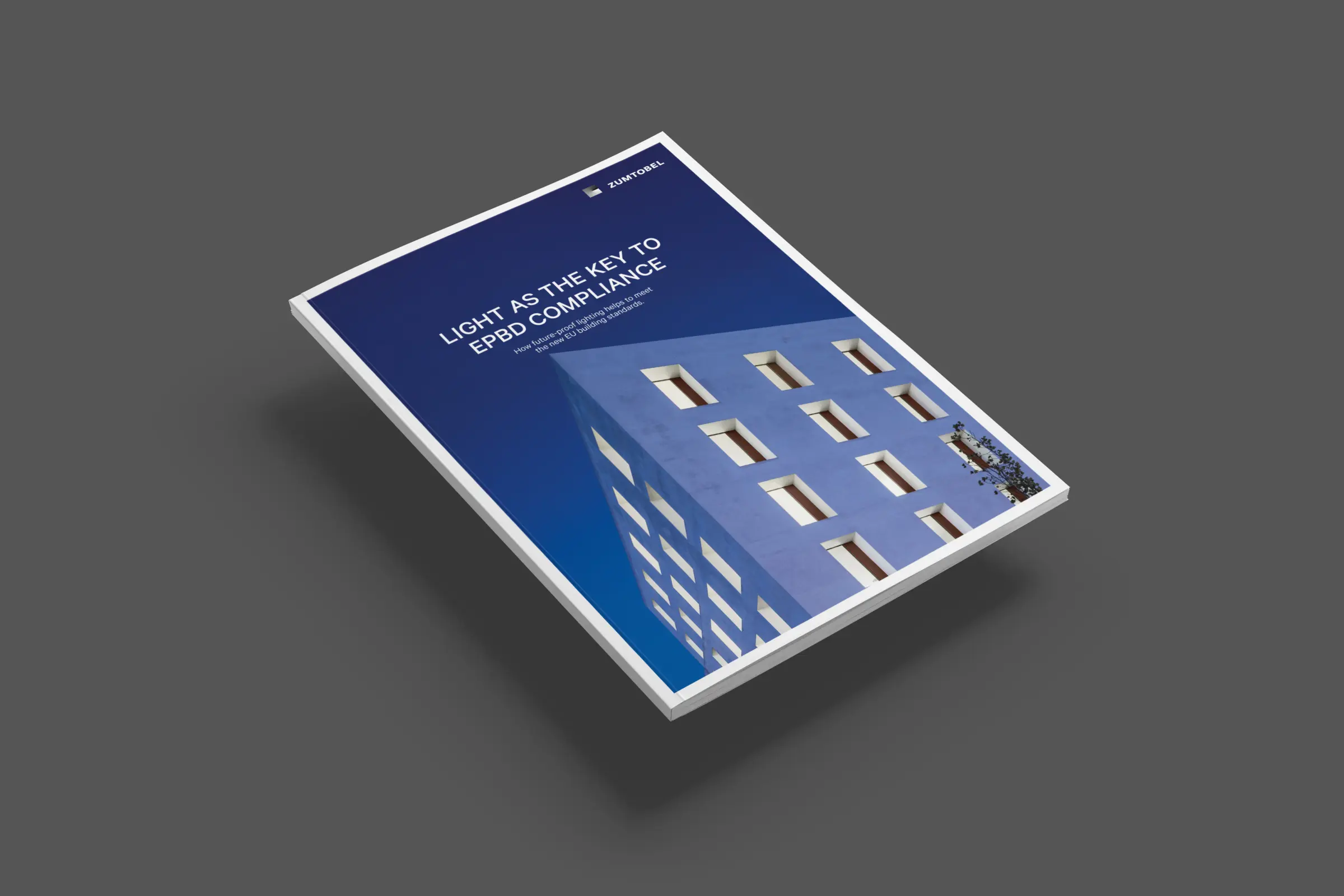 EPBD White Paper