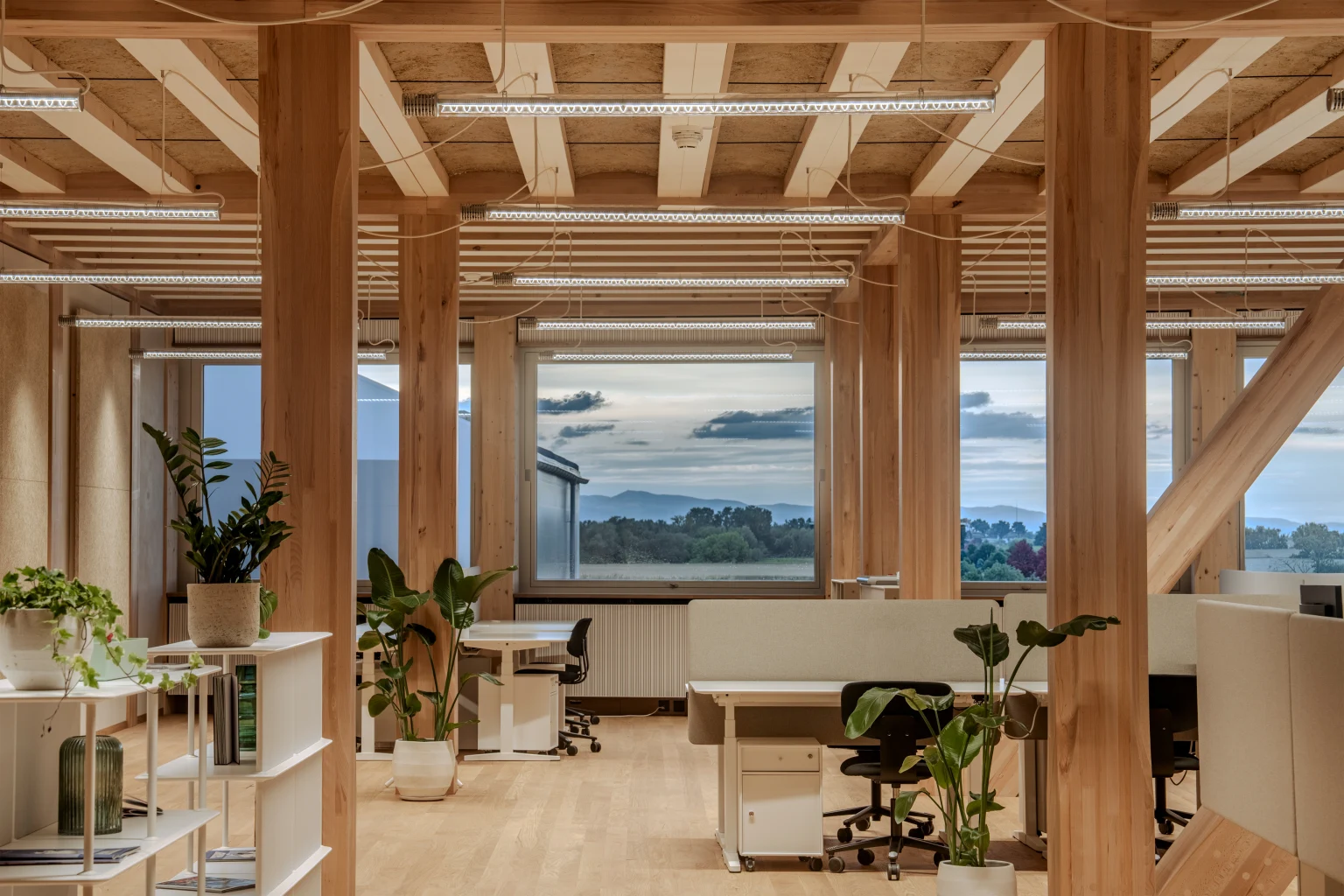 Bright, modern office space with exposed wooden beams and large windows overlooking a green landscape with hills in the distance. Several desks with office chairs are arranged throughout the room, some equipped with monitors and mobile drawer units. Multiple green houseplants are placed on shelves and next to the desks. The atmosphere feels open, tidy, and natural due to the extensive use of wood and abundant daylight.