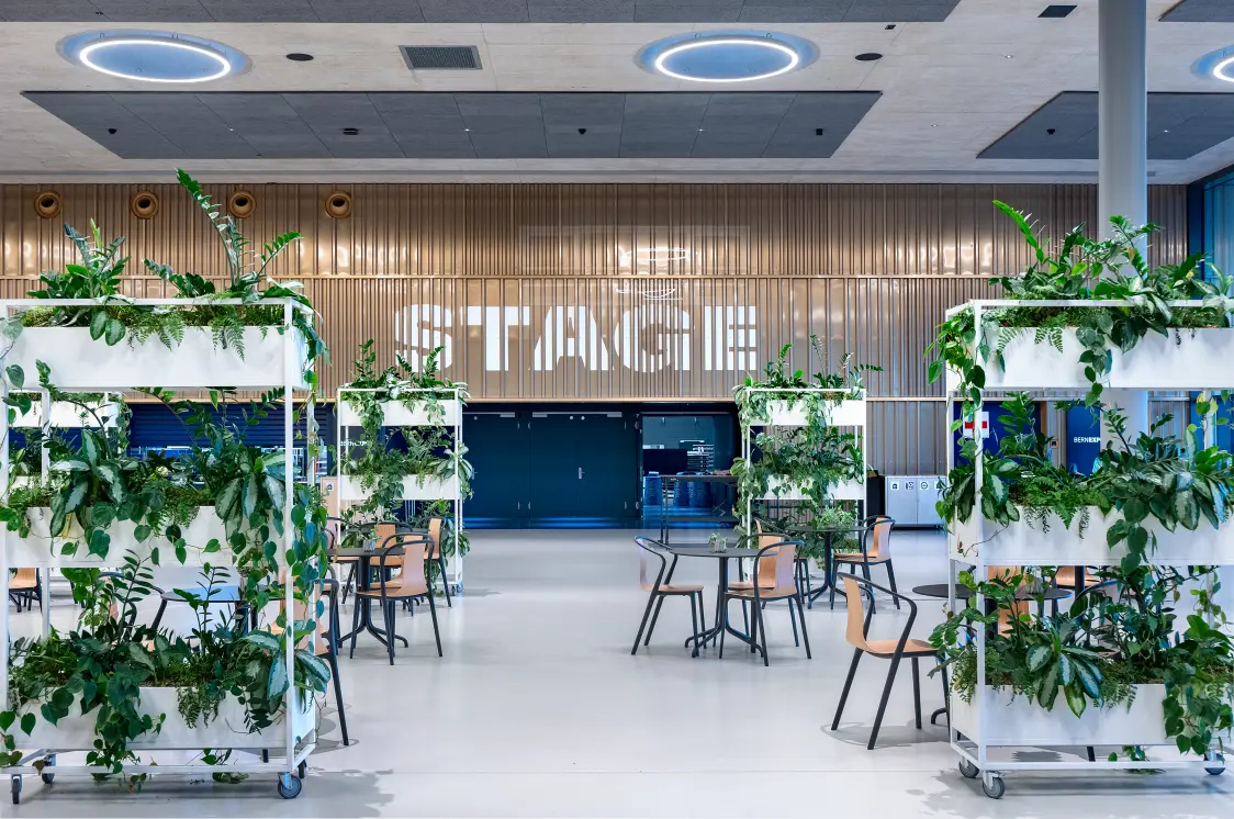 Besucherbereich mit Tischen und Stühlen und Pflanzen mit Blick zum Eingang der Festhalle