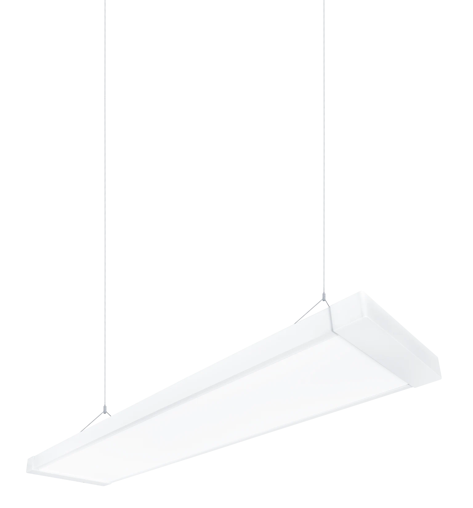 Roxy suspended version