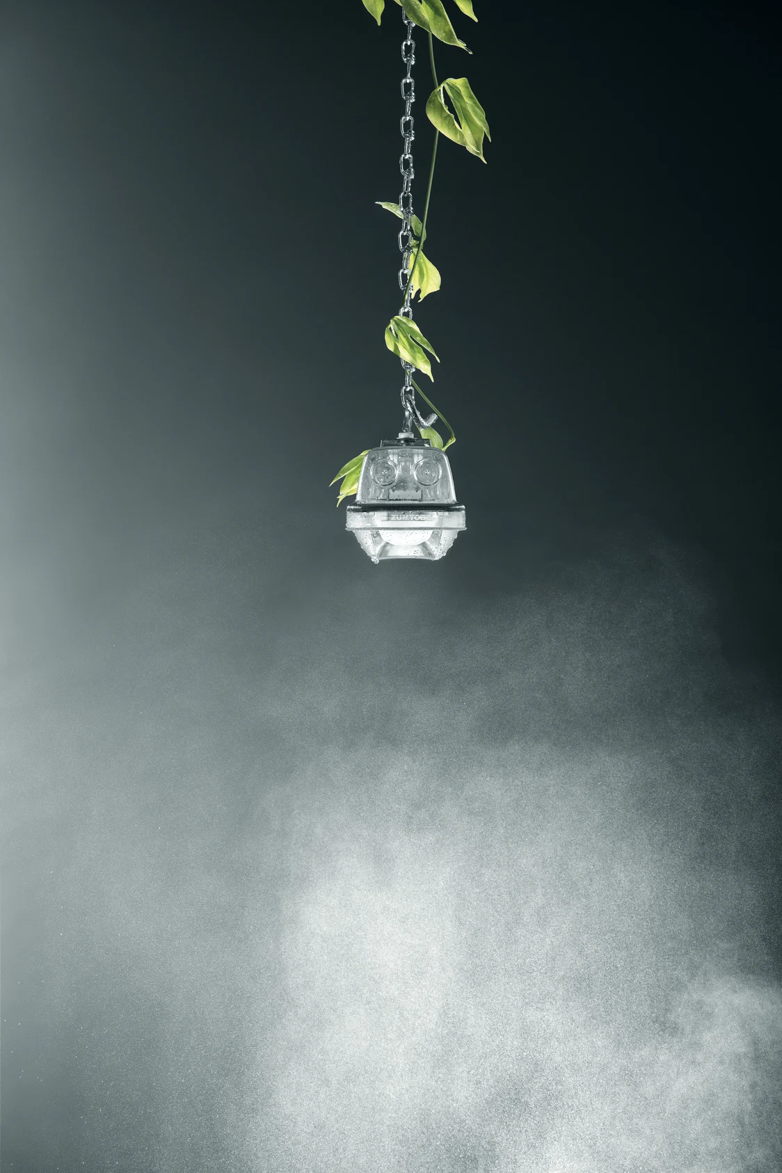 Das AMPHIBIA Beleuchtungssystem hängt an einer Kette, umgeben von Pflanzenblättern, in einer diffusen, nebligen Umgebung.
