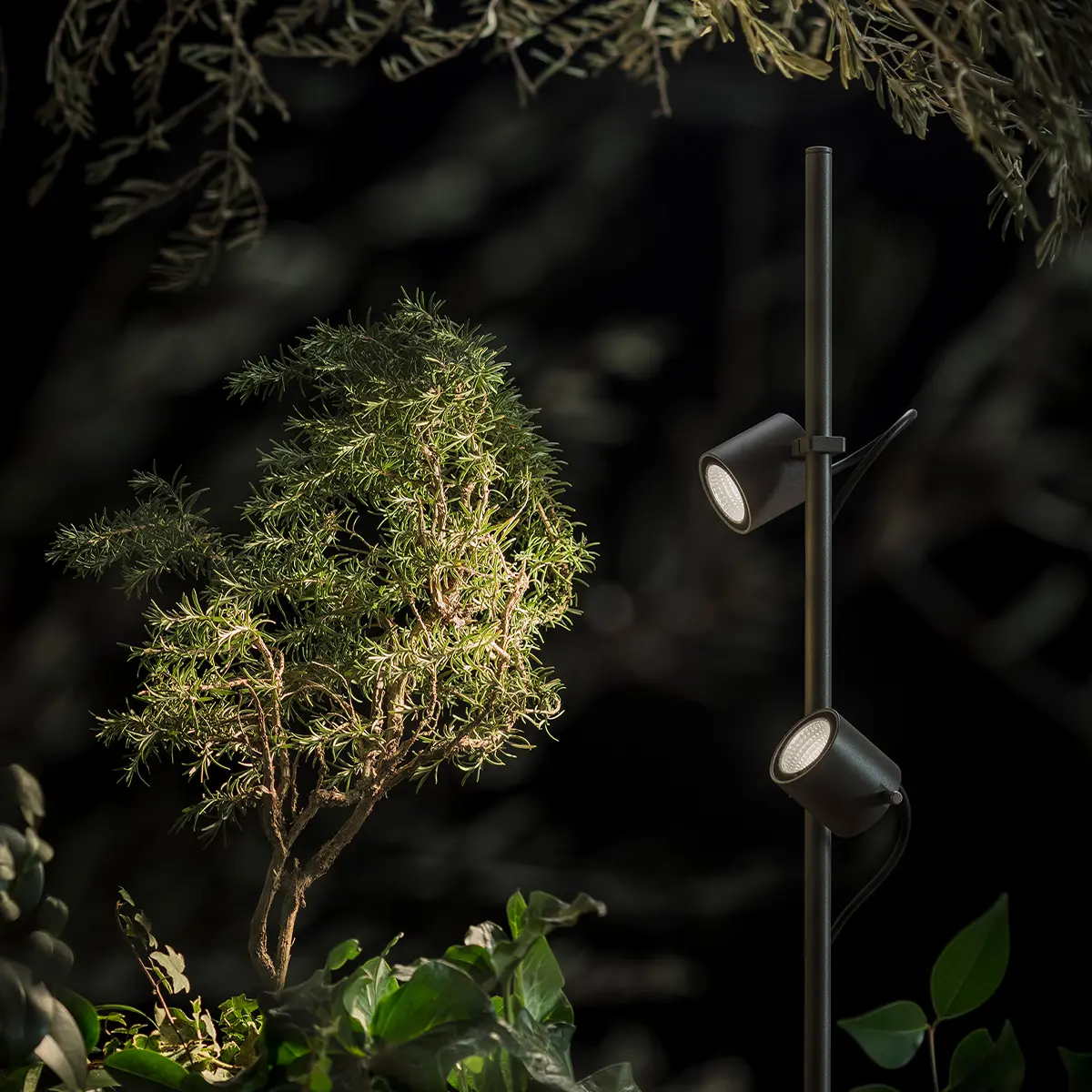 Outdoor Leuchte Segno P von Ghidini beleuchtet einen Gartenbereich mit Bäumen und Büschen