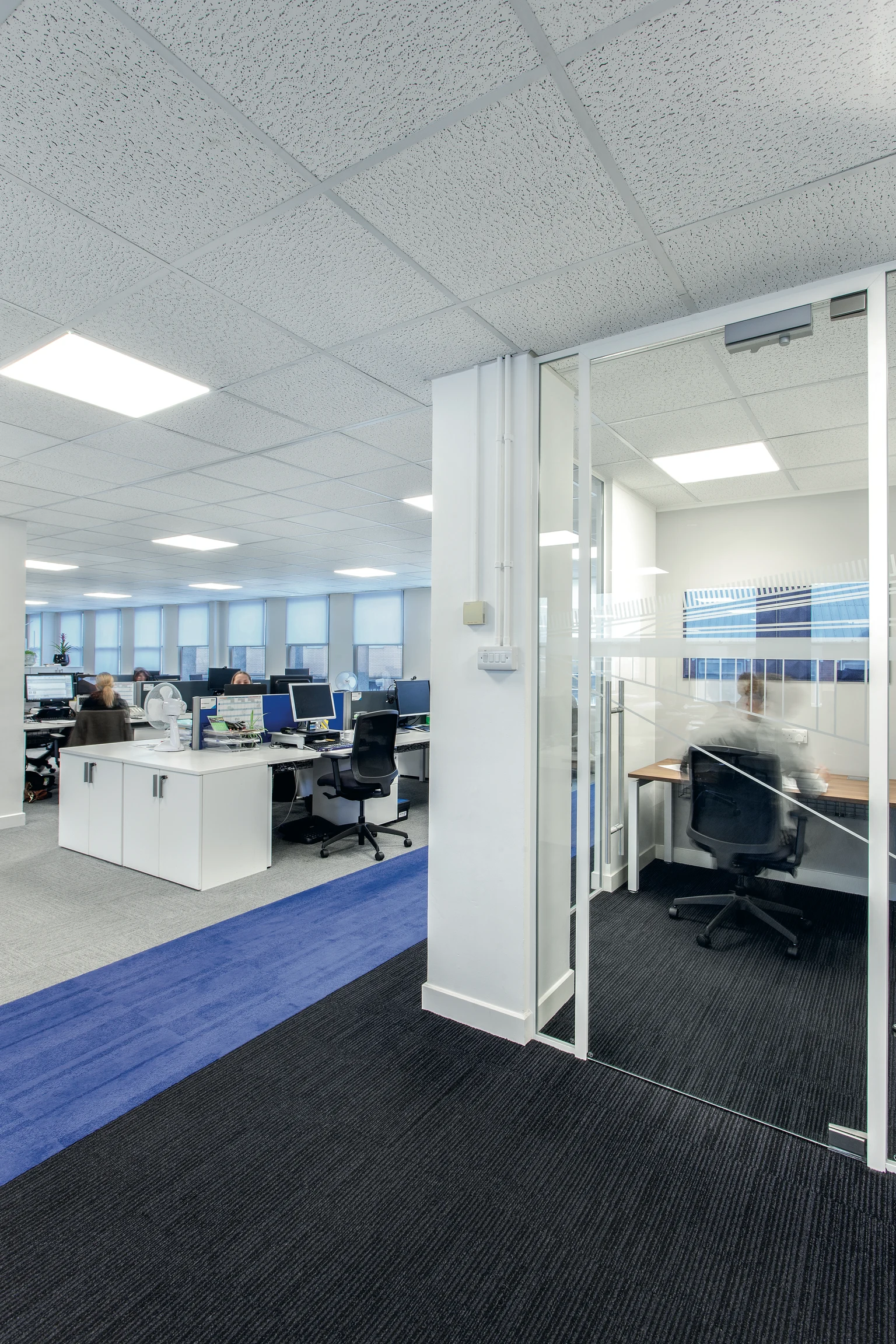 Una donna lavora al computer in un ufficio open space pieno di scrivanie, computer e piante in vaso. L'ambiente è spazioso e ben illuminato, con un'attenzione particolare alla produttività.