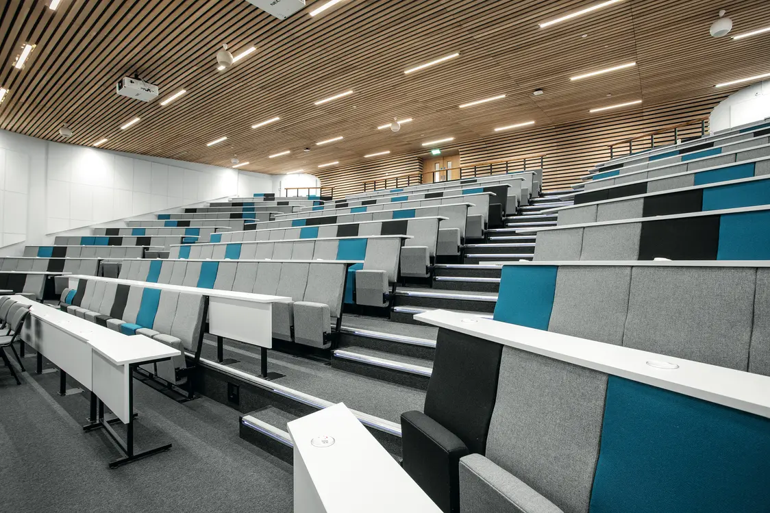 Ampio auditorium con soffitto rivestito in legno e illuminazione LED integrata. Il design moderno crea un'atmosfera ideale per lo studio.