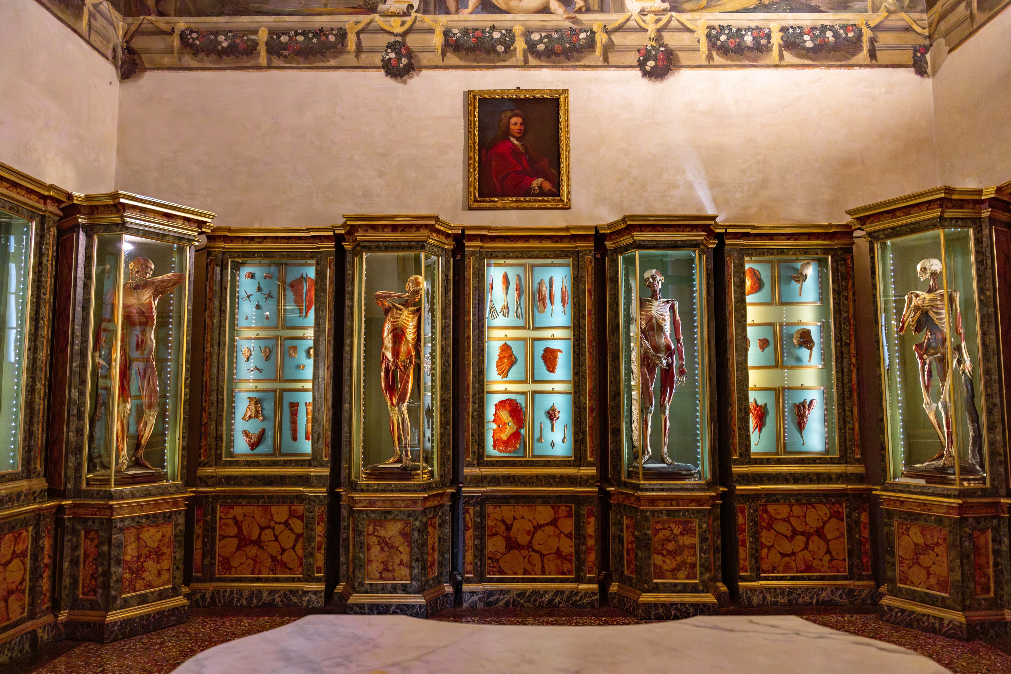 Anatomie Ausstellung in einem Museum