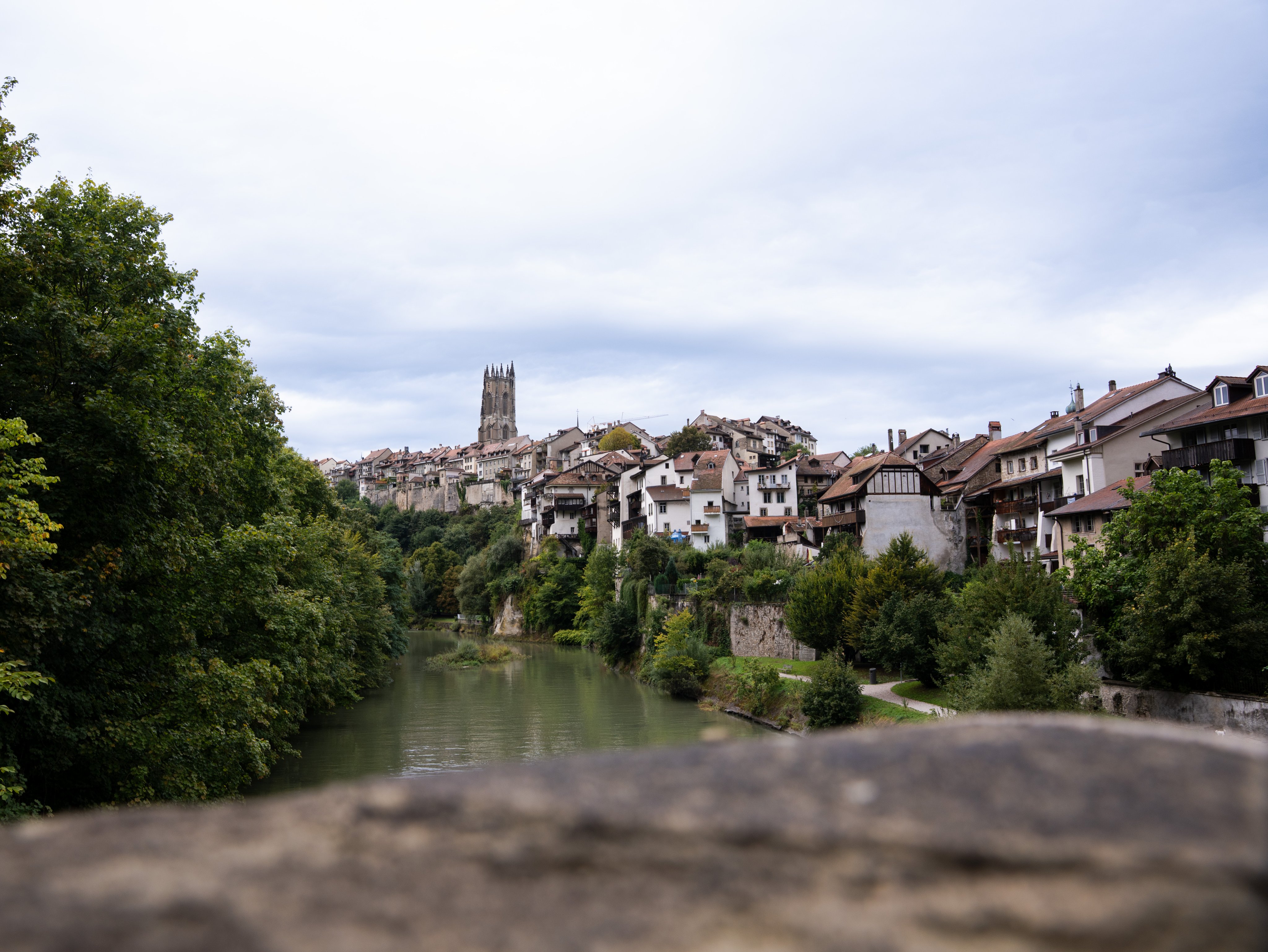 Blick auf die Stadt Fribourg mit der Saane im Vordergrund.