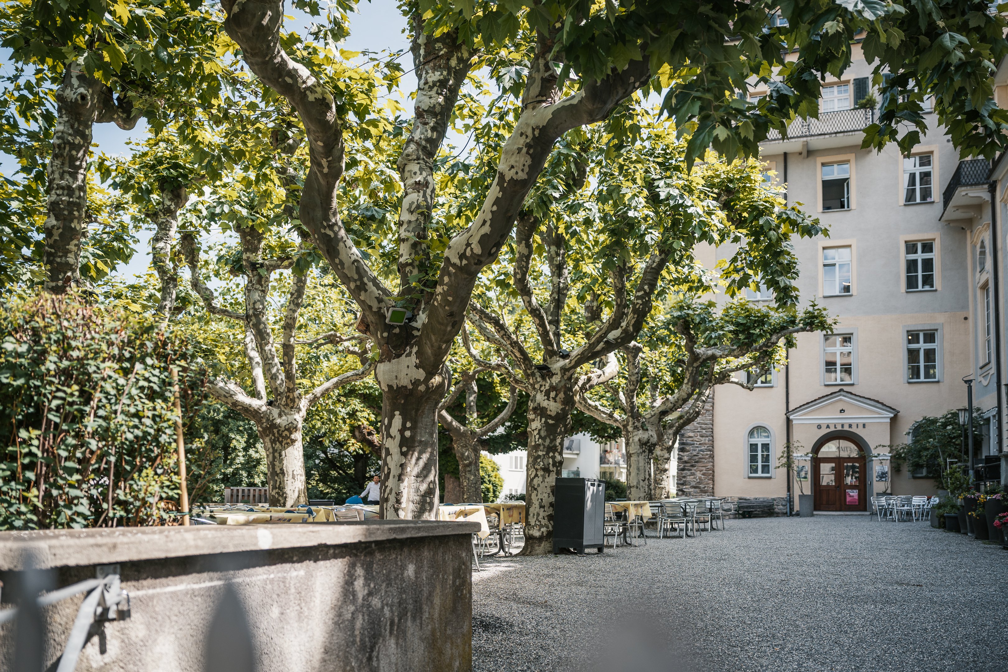 Gartenterrasse des Restaurants Marsöl in Chur, geschmückt mit alten Bäumen.