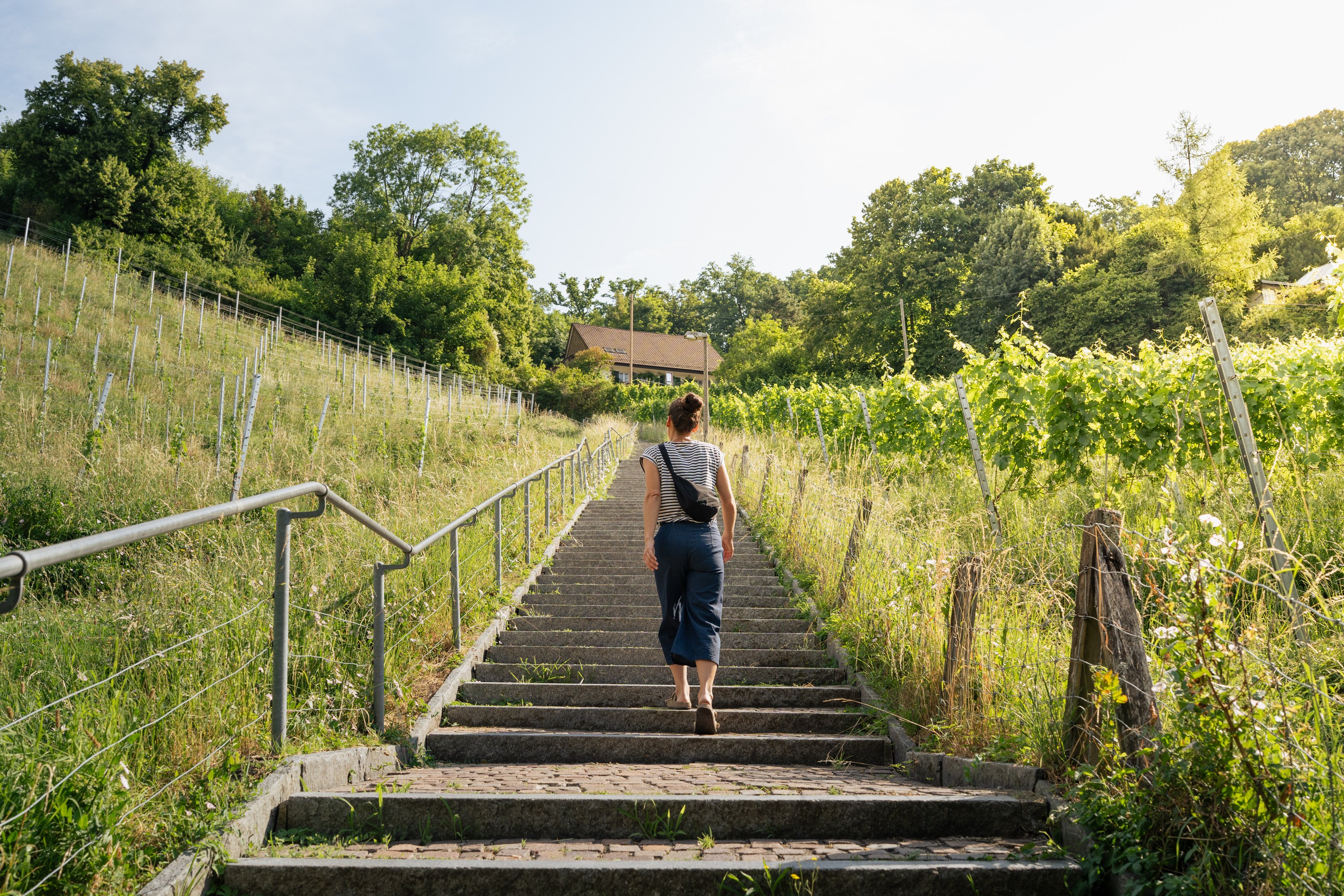 Eine Frau läuft eine Steintreppe hoch zu einem Haus. Die Treppe ist von Reben gesäumt.
