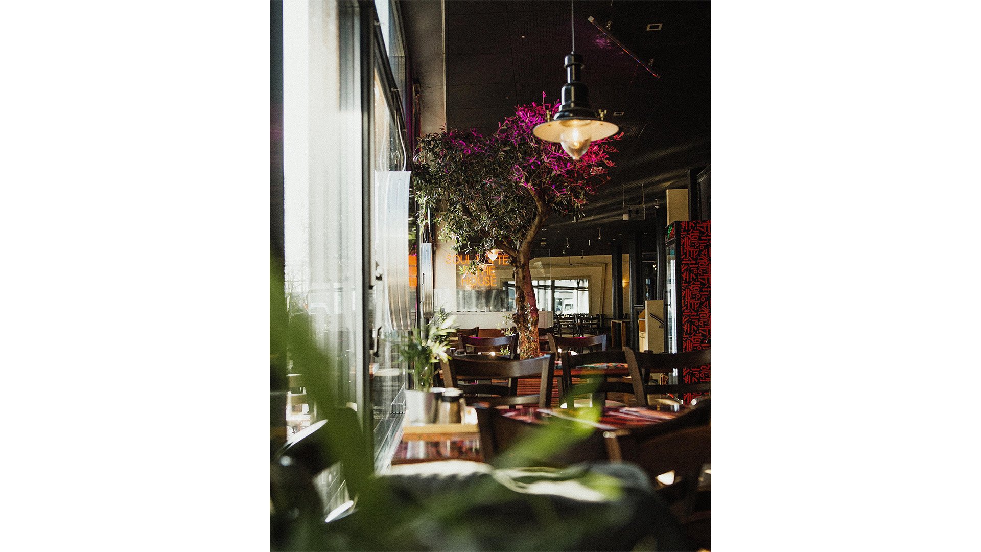 L’intérieur du restaurant avec des tables, des chaises et un olivier.