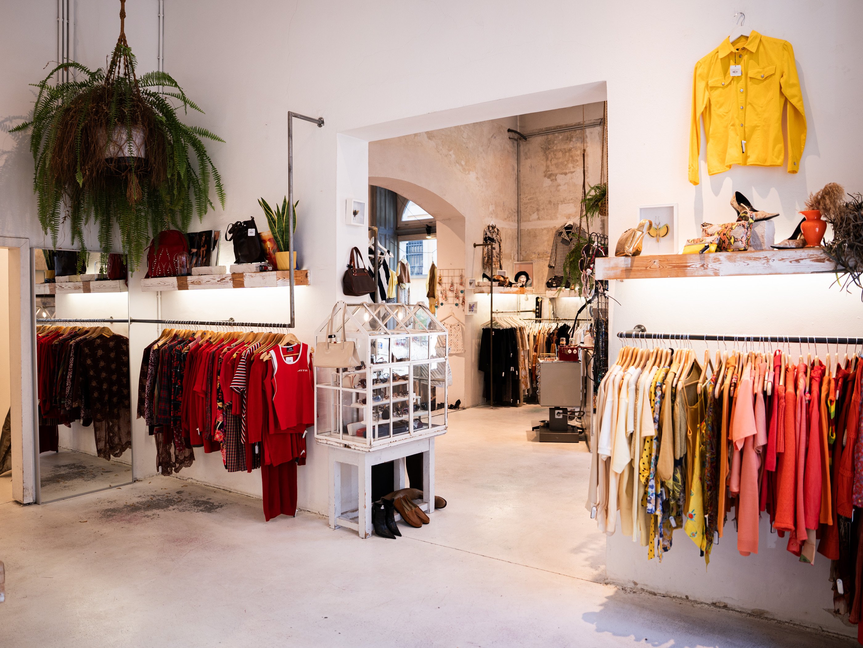 Innenansicht des Vintage- und Secondhand-Ladens Burggasse 24 mit bunter Kleidung auf Kleiderstangen und Pflanzen an den Wänden.