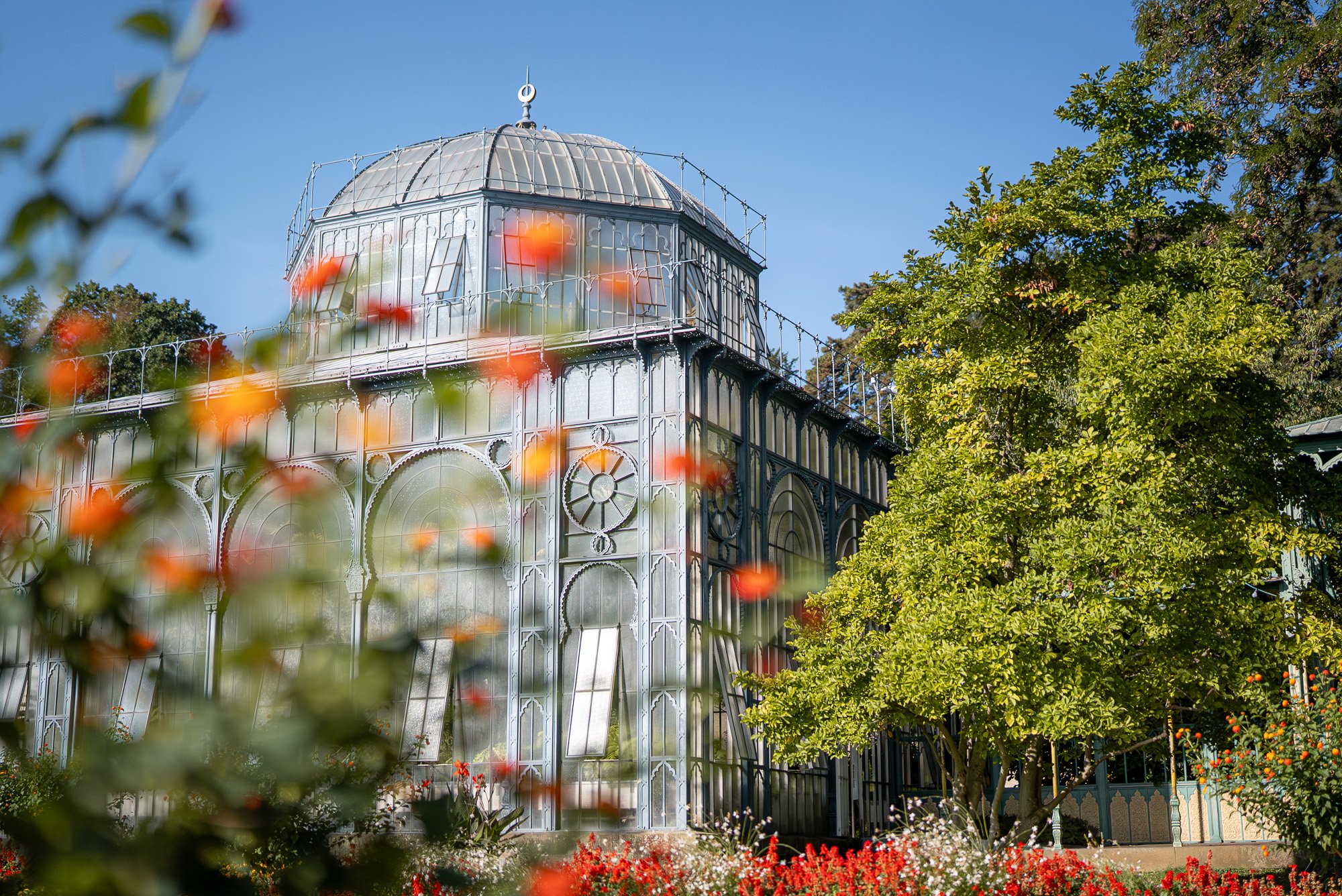 Blick durch das Blumengebüsch auf die gläserne Aussensseite des Gewächshauses mit Glaskuppel.