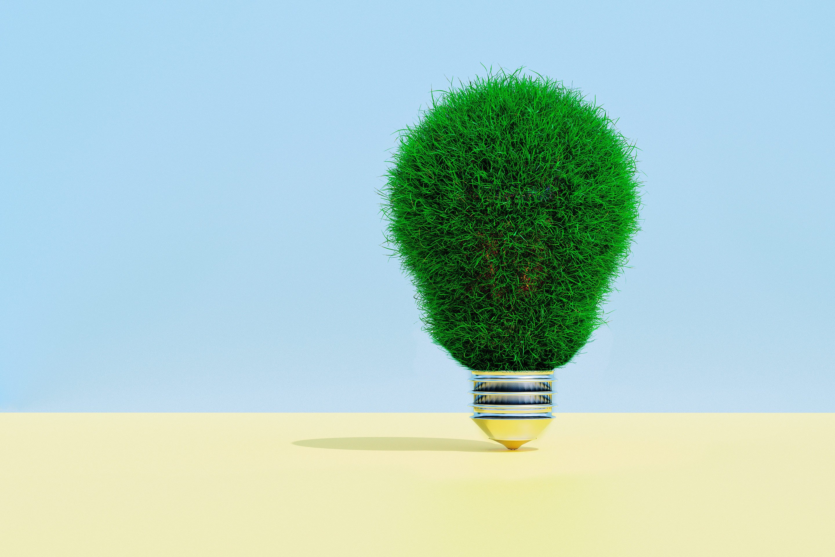 Sustainability_grass_bulb