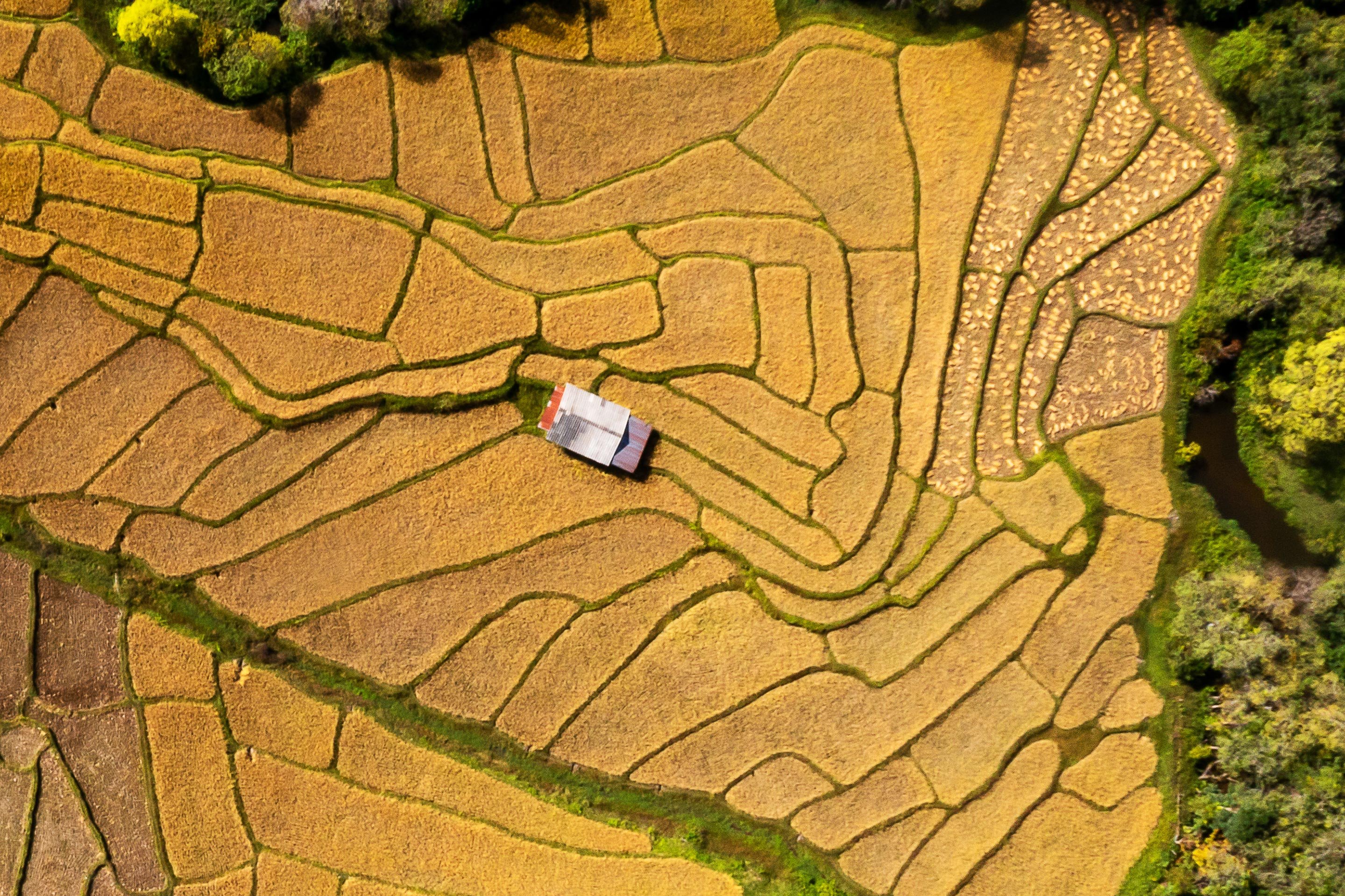Communities_farming