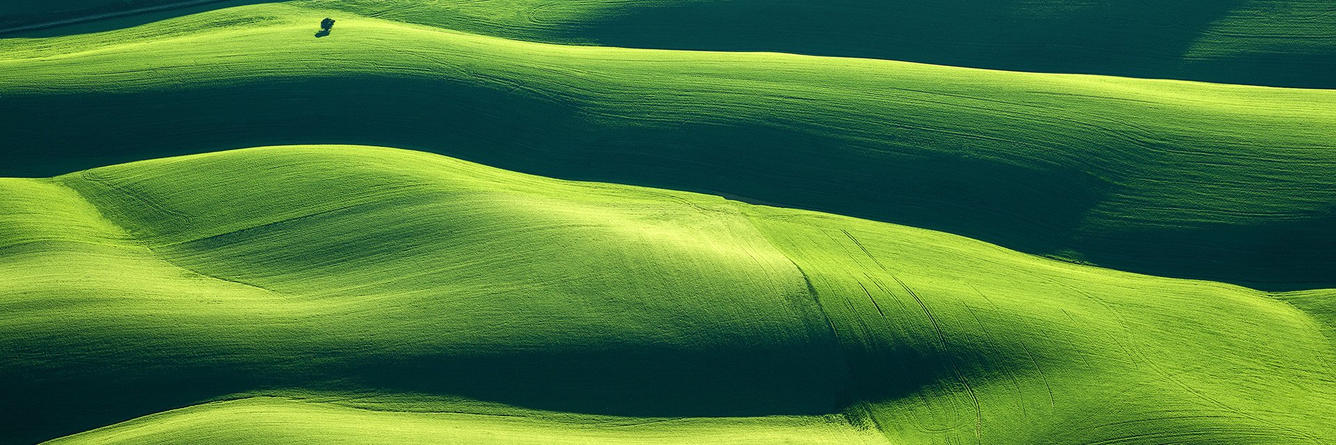 about_us_sustainable_investing