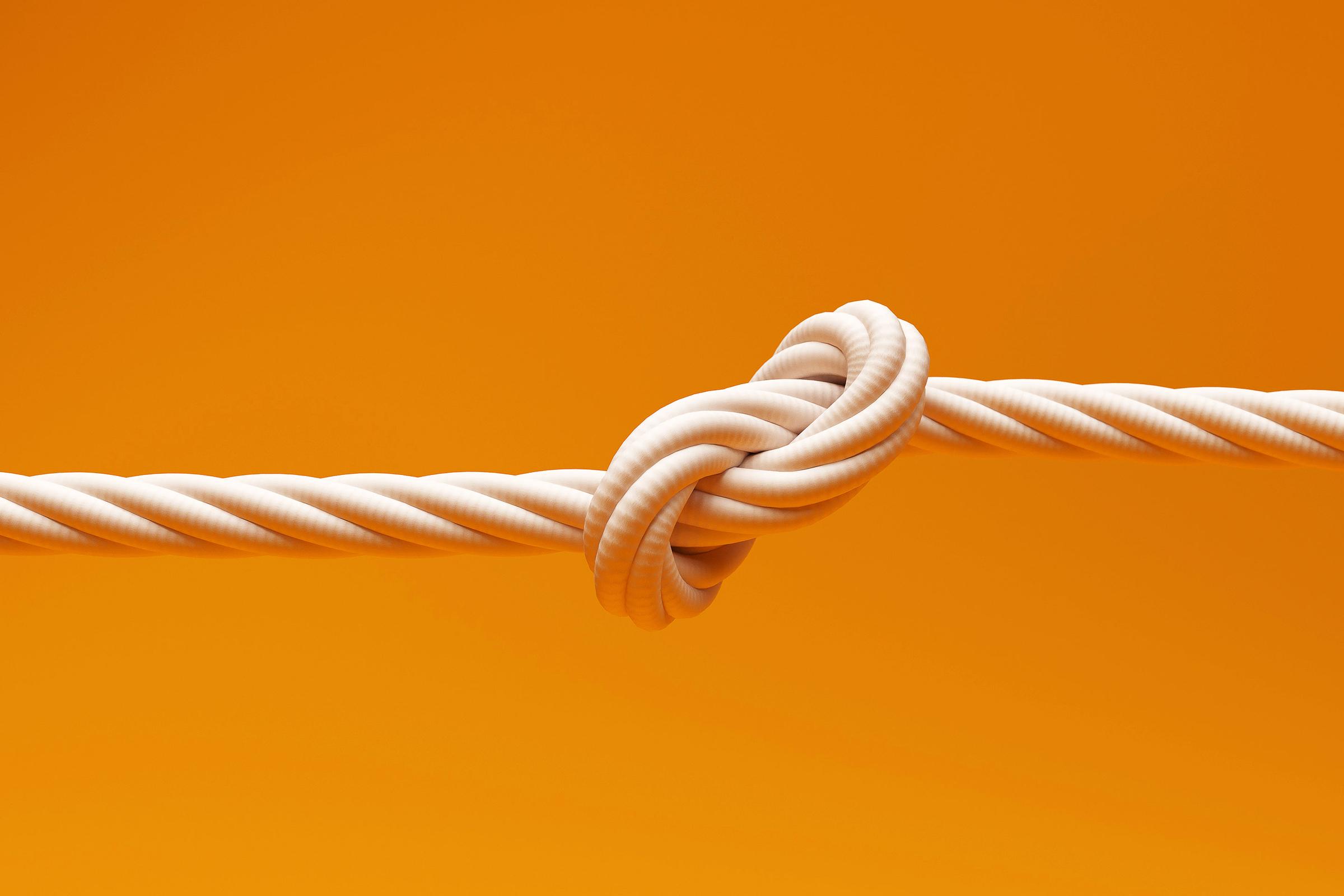 Partnerships_knot