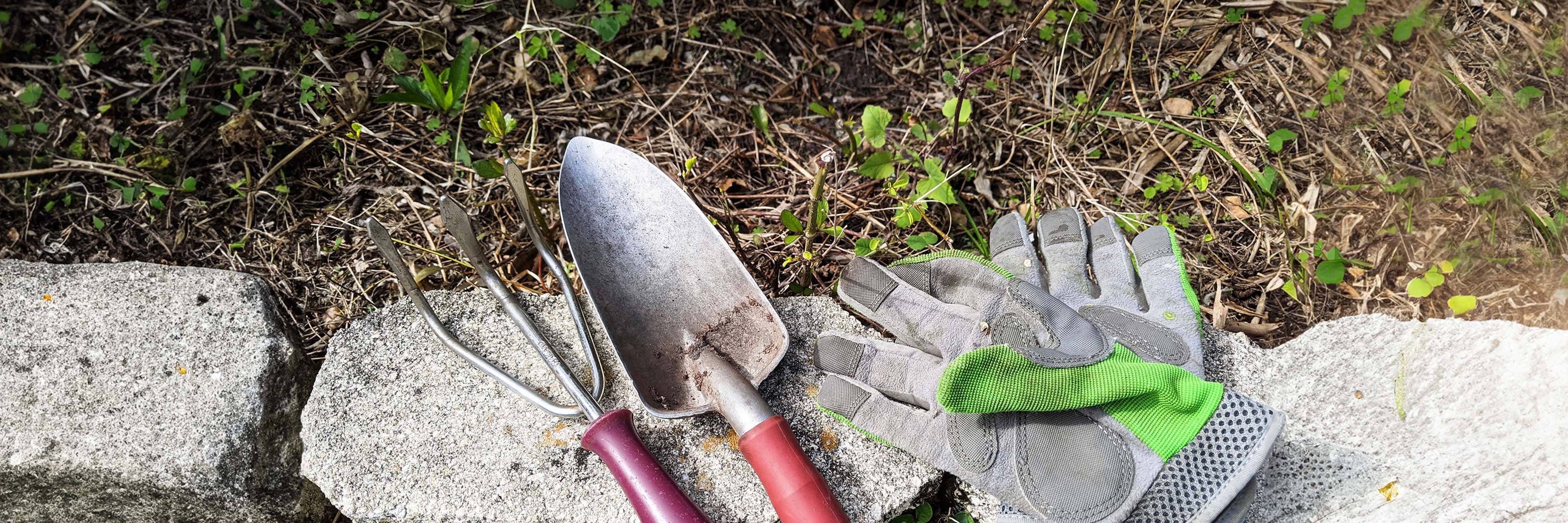 Gardening tools lying on the grass, ready to be used