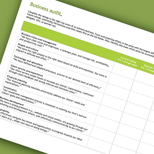 SEI-business-audit-tool