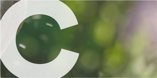 access-catalyst-adoption-C
