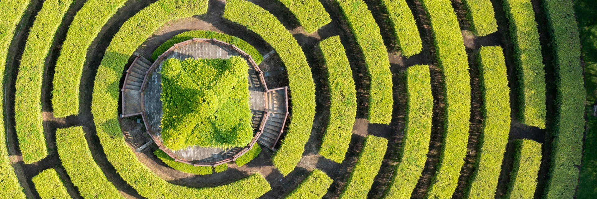 alts-overview-garden-maze-hero