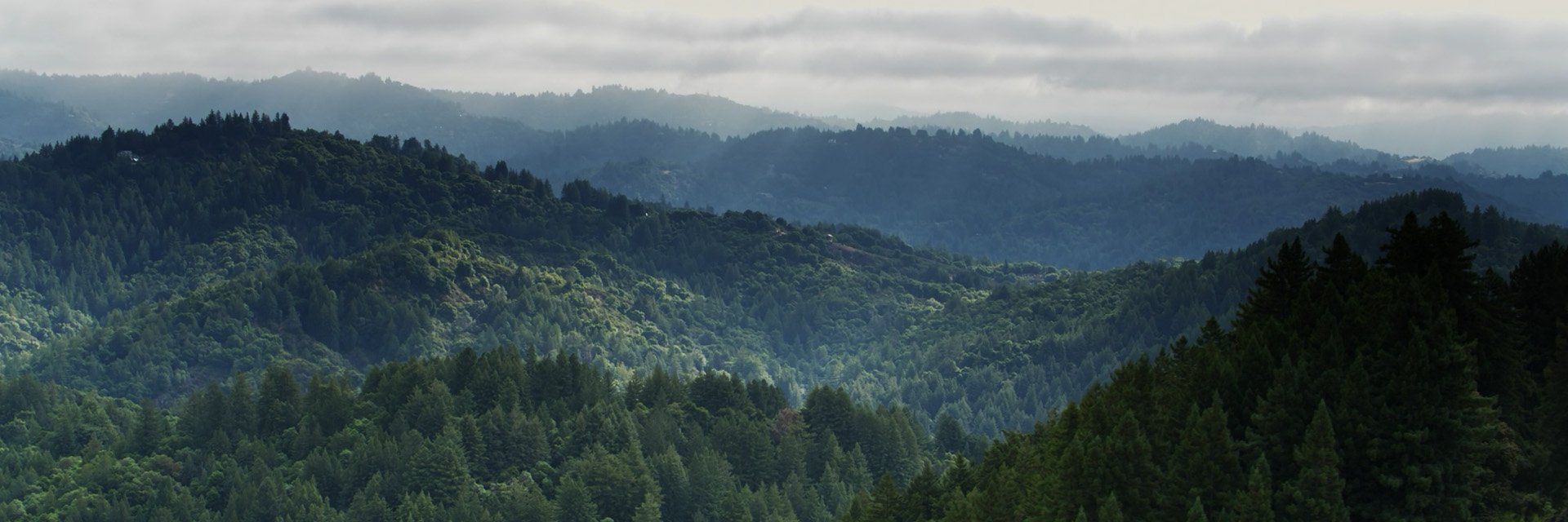 alts-stability-scale-hills-trees