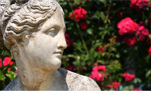 access-alts-101-woman-flowers