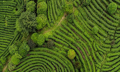 stewardship-code-report