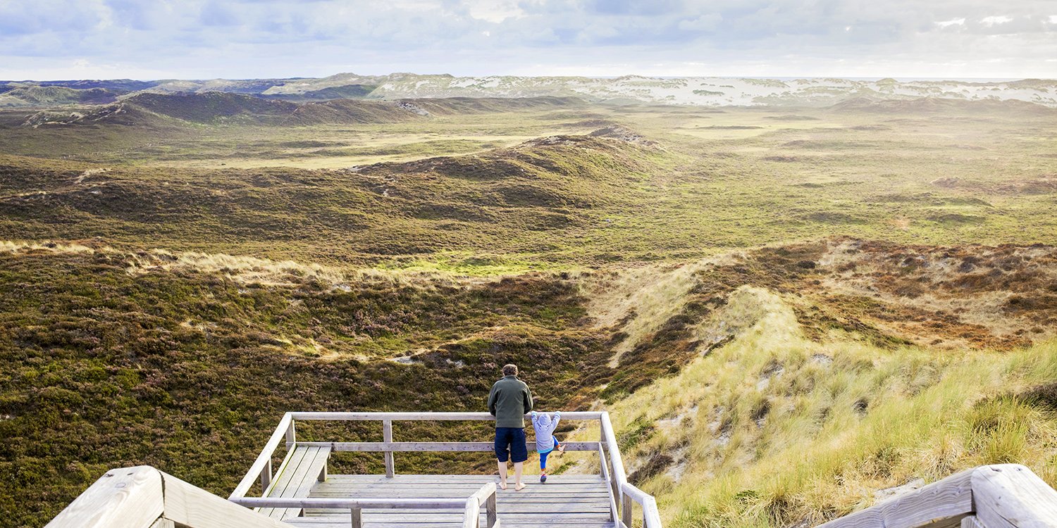 Back view of father and little daughter standing on viewing platform looking at landscape