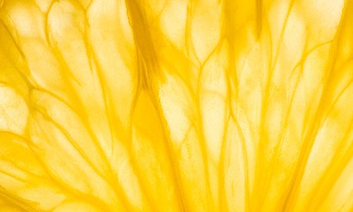 240655.06_ADV_DiscoveryForum_EventImages_v1_240655.06_Discovery_May_500x300