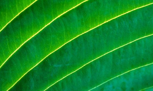 240655.06_ADV_DiscoveryForum_EventImages_v1_240655.06_Discovery_April_500x300