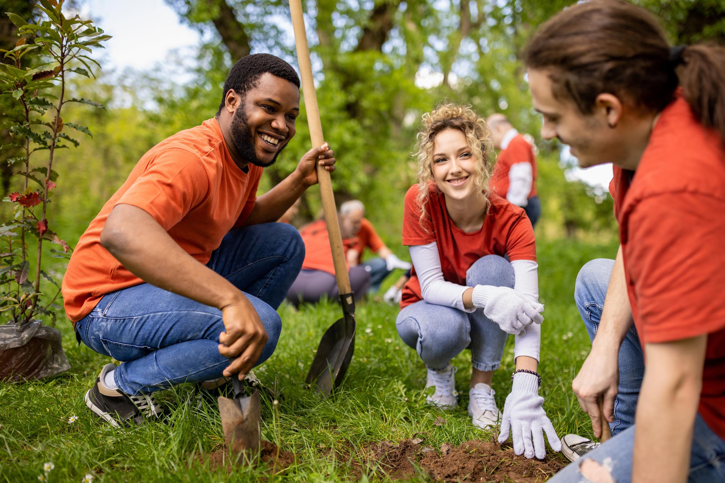 Diverse group of young people digging hole in forest to plant tree.