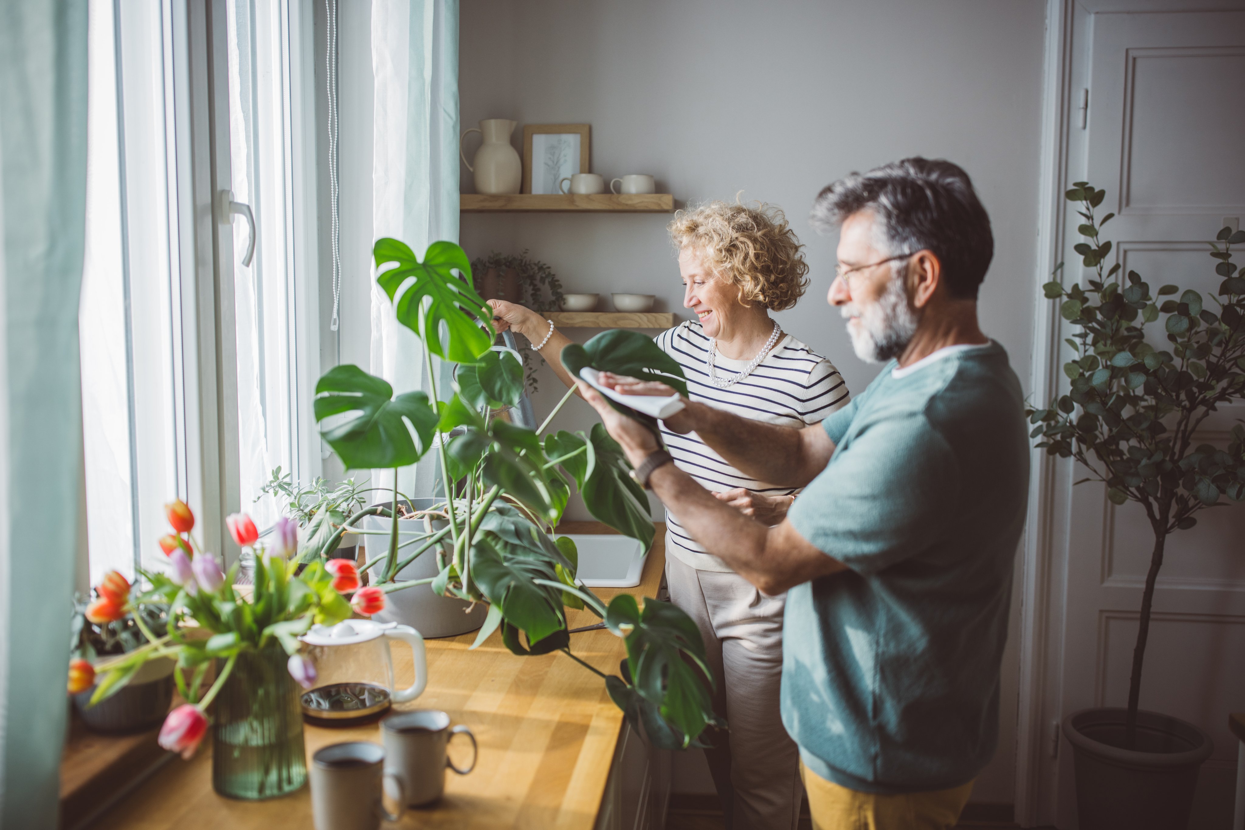 A mature couple are watering their plants in a utility room.