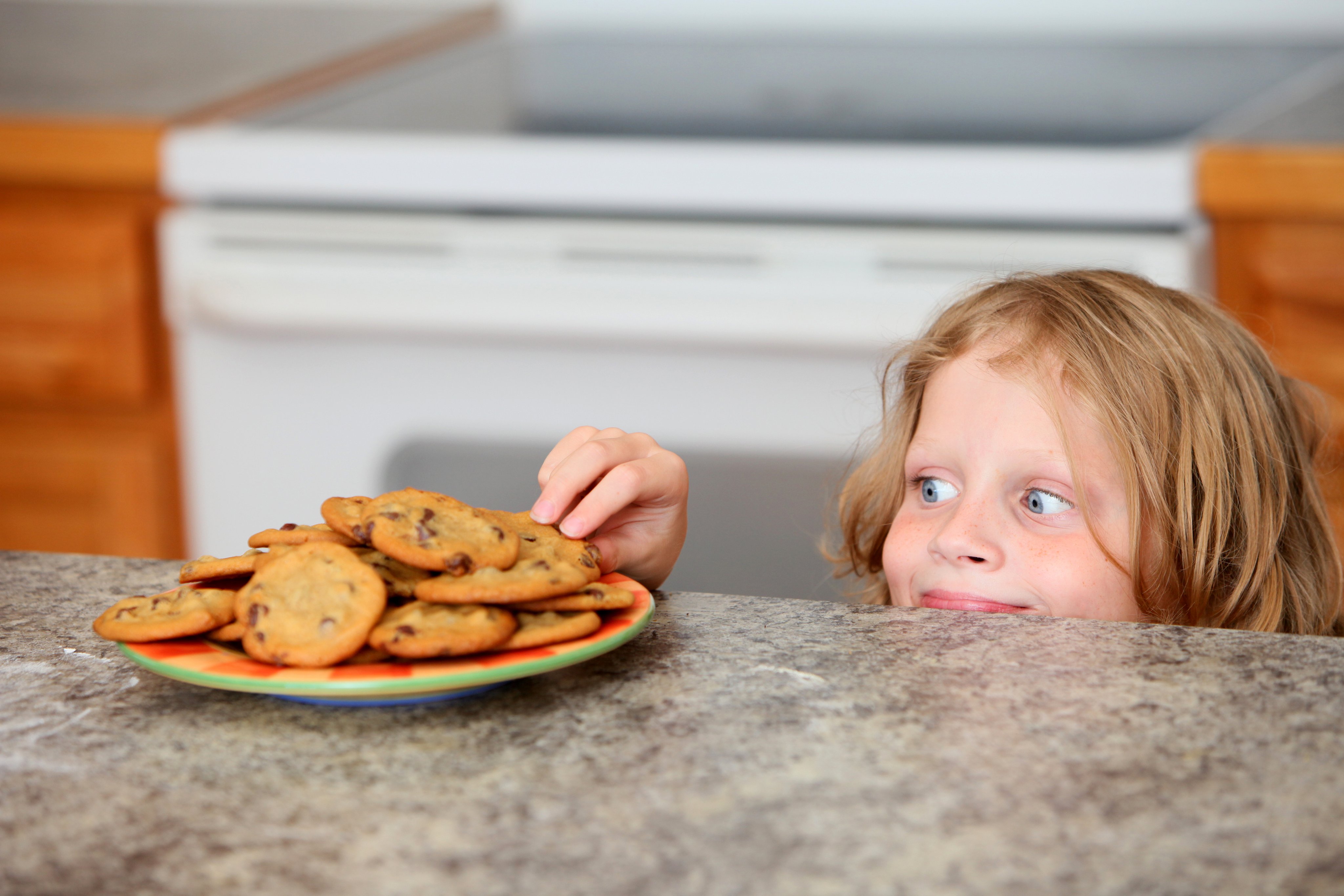boy stealing a cookie of a counter