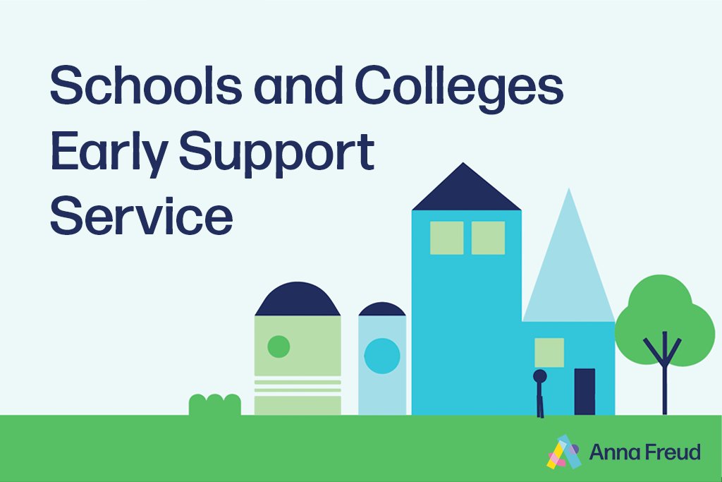 Schools and Colleges Early Support Service explained