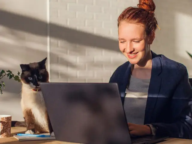 Frau arbeitet mit Katze am Laptop