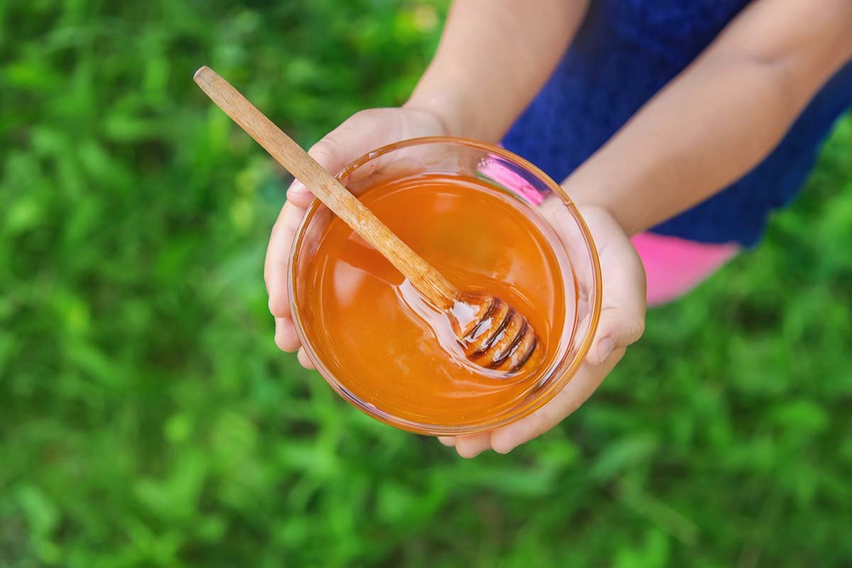 child holds out bowl full of fresh honey