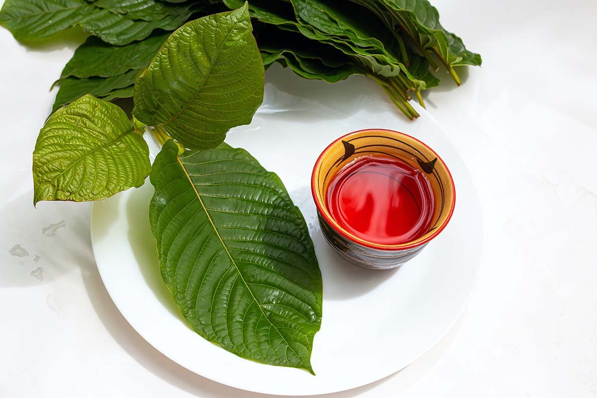 Kratom leaves, broad and green, displayed beside a beverage made from Kratom. 
