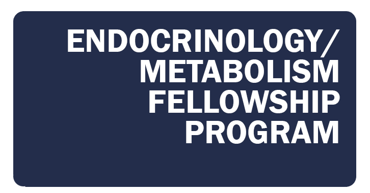 The Endocrinology/Metabolism Training Program provides intensive clinical training (and research training, if applicable) for physicians who have completed a residency in internal medicine...