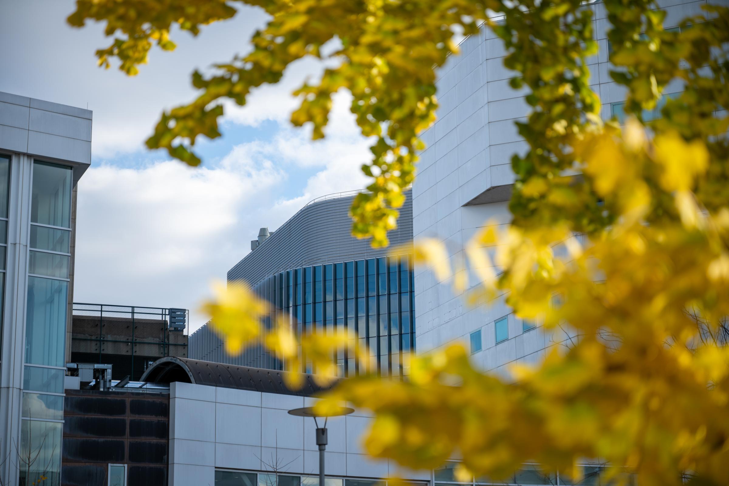 Exterior of University Medical Center