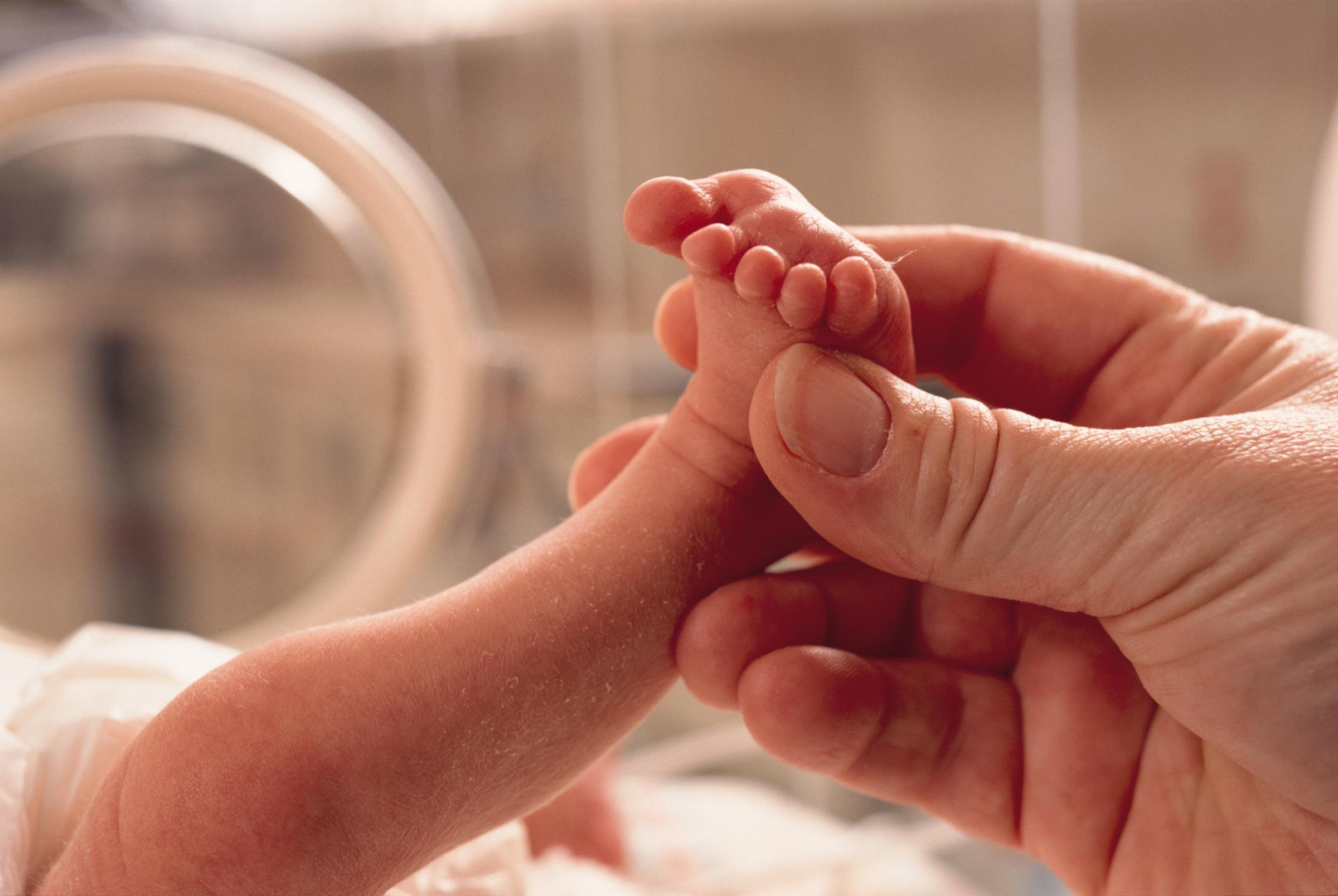 A hand lovingly holds a baby's foot