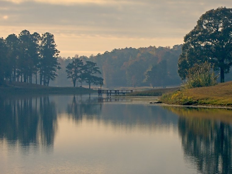 Outdoor picture shows trees surrounding a river with a mountain in the background