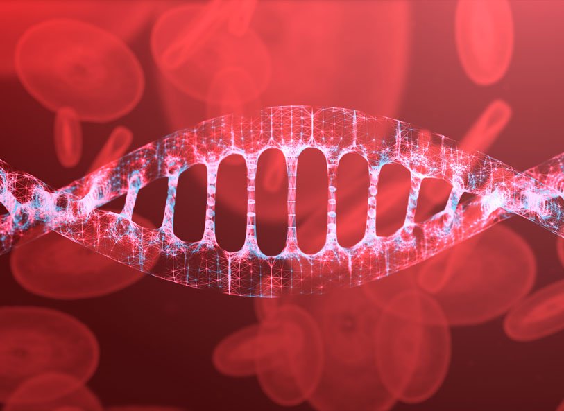 DNA strand and red blood cells