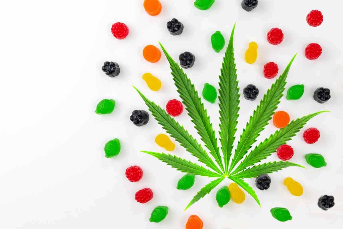 A marijuana leaf surrounded by cannabis edible gummies